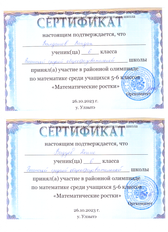 сертификат матем.png